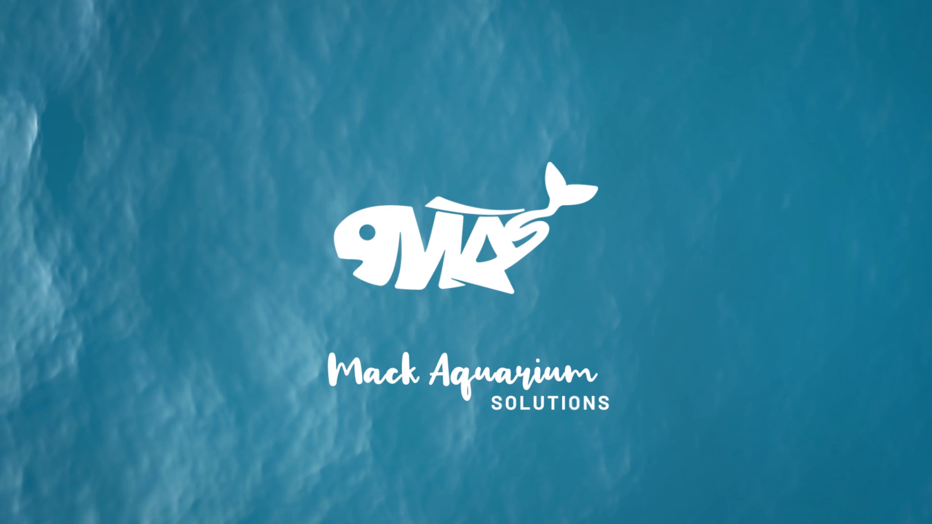 MackFlow1 by COLETEK